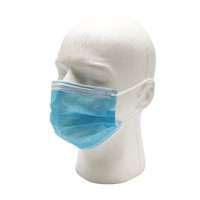 Box of 50 Pleated Disposable Face Masks